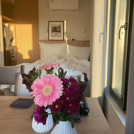 Tiny House Boddenblick - Ostsee *